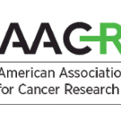AACR Logo